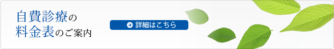 自費診療の料金表のご案内